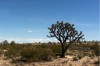 Parque de Mojave