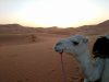 Desierto l'Erg Chebbi