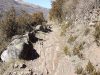 El camino se abre paso entre bojes en la ladera.