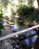 El río en Cerveruela