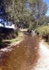  El río a su paso por Villadoz