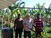 Con peones haitianos en una plantación de bananos