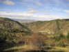 Paisaje en la bajada hacia Camarena de la Sierra