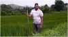 (Agricultor dominicano en un arrozal. Fuente/Manuel Sara, Delegado del Caribe. Equipo CODESPA, 22.01.2014)
