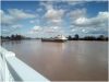 (Río Guadalquivir a su paso por Coria del Río, a unos 20 km. de Isla Mayor y a unos 40 de Sevilla. Foto del autor)