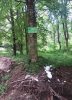 Restos de basura en pleno parque nacional