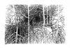 Senderos-del-bosque-2020.-Acrilico-y-lapiz-sobre-lienzo-180-x-180-cm.-2