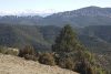 Luesia. Vista de la Sierra de Santo domingo dede Puy Fonguera (1307 metros), bosque, árboles