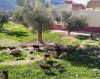 La vista desde el alojamiento en Moulay Idriss