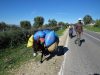    Camino a Volubilis