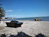 Retirada de algas en el Mar Menor